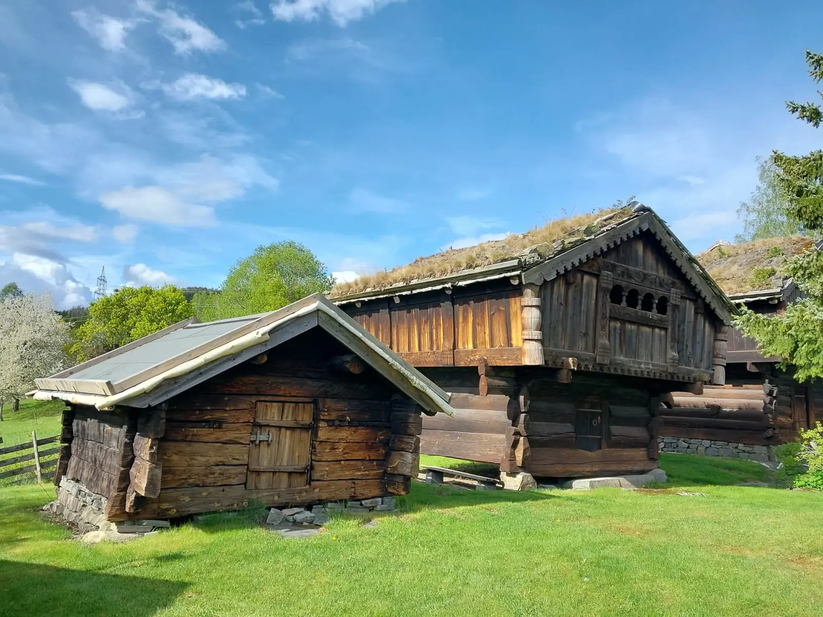 Flere gamle norske tømmerbygninger med gresstak står tett sammen i klart solskinn.